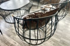 Visit the Cozy Cafe at Na Chaluais Heart Phu Luang